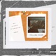 Falling Down Sunshine Single
