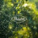 Shine For You feat Niilo Single