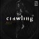 Crawling Single