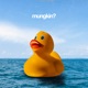 mungkin Single