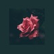 Oblivion feat Lily Potter Single