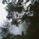 Soundscapes Single