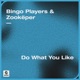 Do What You Like Extended Mix Single