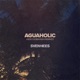 Aguaholic Hideo Kobayashi Remixes Single