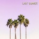 Last Summer Single