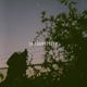 In Transition Single