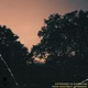 From Heartbeat to Memory EP