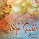 Ibiza Guitar