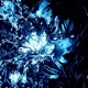 ECHOES OF YOUR LOVE feat Sabrini C0nV nGe Remix Single