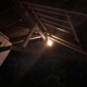 The Last Light