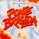 Ponte Brigida Single