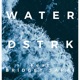 Water feat Bridget Sarai Single