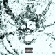 Insømnio Single