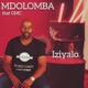 Iziyalo