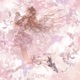Blooming Wings EP