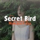 Secret Bird Sound Single