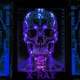 Starmatik23 X RAY Single