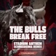 The Bulls Break Free Stadium Anthem Schneereima Remix Single
