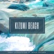 Kizumi Beach feat Skule Toyama Single
