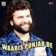 Waaris Punjab De