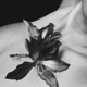 Cut Flowers Single