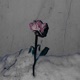In the night 불씨 Single