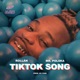 TikTok Song feat Mr Polska Puri Single