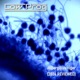 Aspergillus Niger 2024 Reviewed Single