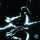Suck My Duck Single