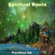 Spiritual Roots Single