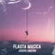 Flauta Magica Single
