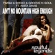 Ain t No Mountain High Enough feat Anita Davis Single