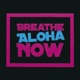 Breathe Aloha Now feat Jay Psar Remix Single