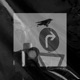 Nahrungssuche x LWF Single