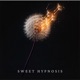 Sweet Hypnosis Single
