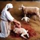 SACRIFICIAL LAMB feat ArmstrongWW Single
