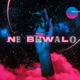 Ne Biwalo Single