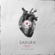 Sakura Single