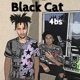 Black Cat