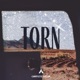 Torn Single