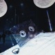 Cold Memory Single