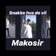 Snakke Hva de Vil Single