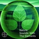 Nature Sounds With The Elements Ocean Rain Forest