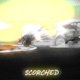 Scorched Single