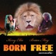 Born Free feat Kerry Ellis Acoustic Version Single