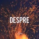 Despre Single
