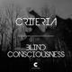 Blind Consciousness Single