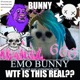 I LIKE BUNNIES feat hash Single