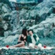 Summer Love feat Geko Rbn Single