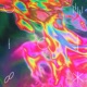 ECHO CHAMBER EP